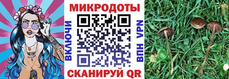 Галлюциногенные грибы ЛСД  Горнозаводск 